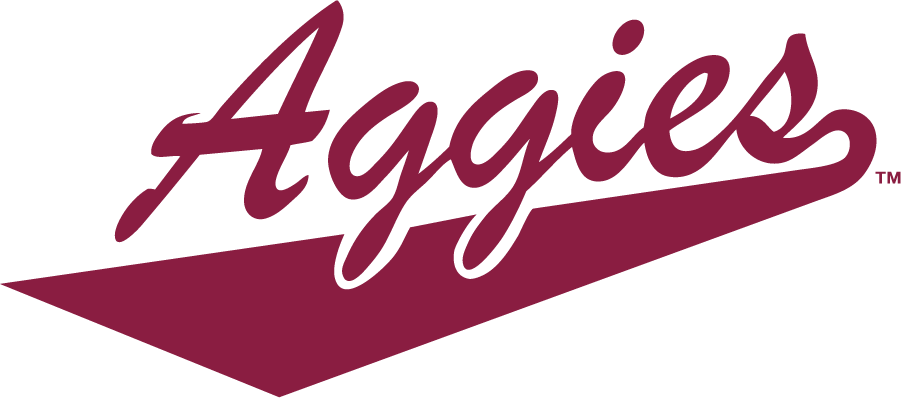 New Mexico State Aggies 2005-2008 Wordmark Logo DIY iron on transfer (heat transfer)